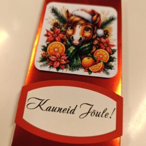 Shokolaadikarp "Kauneid Jõule"